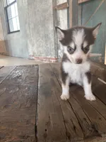 processed/7c88cceb-7f00-4b41-9c58-b3370db2038f/listing/408e2e7c-f7e6-425a-9bf7-7cac2527cfd6/2dcb8f4e-63dc-4119-8eb4-ddb8b310587f