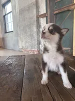 processed/7c88cceb-7f00-4b41-9c58-b3370db2038f/listing/408e2e7c-f7e6-425a-9bf7-7cac2527cfd6/95fdbdf8-4409-4528-b7ab-083cf19b6b92