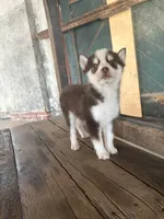 processed/7c88cceb-7f00-4b41-9c58-b3370db2038f/listing/408e2e7c-f7e6-425a-9bf7-7cac2527cfd6/a36703f6-8a46-4ac3-af4e-95fa2aba4abb