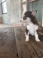 processed/7c88cceb-7f00-4b41-9c58-b3370db2038f/listing/408e2e7c-f7e6-425a-9bf7-7cac2527cfd6/edc1431b-04b2-4cd9-b666-dab141d0156f