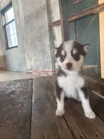 processed/7c88cceb-7f00-4b41-9c58-b3370db2038f/listing/408e2e7c-f7e6-425a-9bf7-7cac2527cfd6/f92e793e-7cd3-4fa5-987f-3d96f3219eba