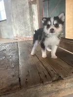 processed/7c88cceb-7f00-4b41-9c58-b3370db2038f/listing/4fc32682-117a-4181-81ce-1e78eb4d60c9/487aa225-b4df-4398-b1e6-0b58d7a85f06