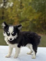 processed/7c88cceb-7f00-4b41-9c58-b3370db2038f/listing/75f0d9e3-0b55-4fc9-99f6-bad611e1f9f7/131c8922-bbb3-41fc-b638-bdad5793eb13