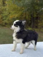 processed/7c88cceb-7f00-4b41-9c58-b3370db2038f/listing/75f0d9e3-0b55-4fc9-99f6-bad611e1f9f7/1ad52939-7f62-4690-8b56-cabd2a613708