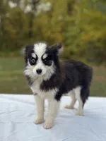 processed/7c88cceb-7f00-4b41-9c58-b3370db2038f/listing/75f0d9e3-0b55-4fc9-99f6-bad611e1f9f7/28623803-576c-423a-9a8d-15a1a088ff8c