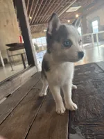 processed/7c88cceb-7f00-4b41-9c58-b3370db2038f/listing/80b3152c-51a6-40d0-8f39-dbd82ba1b057/258490d2-eb36-4892-8d76-1c64f68040de