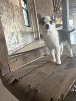 processed/7c88cceb-7f00-4b41-9c58-b3370db2038f/listing/80b3152c-51a6-40d0-8f39-dbd82ba1b057/9cd208ad-e749-4261-bca9-9fa4b7455002