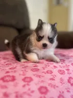 processed/7c88cceb-7f00-4b41-9c58-b3370db2038f/listing/9a310cb6-255e-4f47-be91-f35459b330ee/013ff422-d553-480a-b273-85033d5754bf