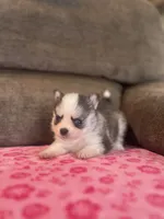 processed/7c88cceb-7f00-4b41-9c58-b3370db2038f/listing/9a310cb6-255e-4f47-be91-f35459b330ee/6a49f80c-ef05-451d-ace4-41e8755db7f9