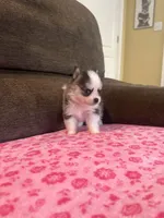 processed/7c88cceb-7f00-4b41-9c58-b3370db2038f/listing/9a310cb6-255e-4f47-be91-f35459b330ee/b6226a56-2ed0-40ed-b657-4de3fc9ef8d0