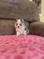 processed/7c88cceb-7f00-4b41-9c58-b3370db2038f/listing/9a310cb6-255e-4f47-be91-f35459b330ee/f31c0a86-9b8f-4e35-a0f0-a276321eb688