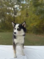 processed/7c88cceb-7f00-4b41-9c58-b3370db2038f/listing/b9dd1e3b-d7ce-4d95-8c17-3a7417cf9b0b/163bdec6-9272-4fe9-9c9e-b1c91ec835bd