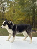 processed/7c88cceb-7f00-4b41-9c58-b3370db2038f/listing/b9dd1e3b-d7ce-4d95-8c17-3a7417cf9b0b/3e7476e4-d652-43c1-ad86-854e664de5be