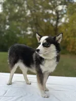 processed/7c88cceb-7f00-4b41-9c58-b3370db2038f/listing/b9dd1e3b-d7ce-4d95-8c17-3a7417cf9b0b/3ff9f1a4-4e43-489a-99e3-ee860fe75e8f