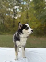 processed/7c88cceb-7f00-4b41-9c58-b3370db2038f/listing/b9dd1e3b-d7ce-4d95-8c17-3a7417cf9b0b/abdb6641-02d3-4e32-94ea-34e52cef3b1f