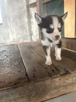 processed/7c88cceb-7f00-4b41-9c58-b3370db2038f/listing/bfb1d6e3-fd5d-497d-af00-935e9d40a6a0/169996f1-5b03-4a7e-80b8-deee37110e9c