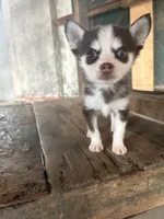 processed/7c88cceb-7f00-4b41-9c58-b3370db2038f/listing/bfb1d6e3-fd5d-497d-af00-935e9d40a6a0/77acaf06-9dde-449b-bc73-21cafd245599