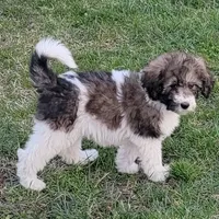 processed/7c890c85-adb8-4658-850a-d1f8bcf1724b/facility/04baa184-3115-4328-810f-4e2bd40a4f47