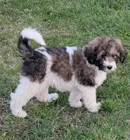 processed/7c890c85-adb8-4658-850a-d1f8bcf1724b/facility/04baa184-3115-4328-810f-4e2bd40a4f47