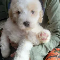 processed/7c890c85-adb8-4658-850a-d1f8bcf1724b/facility/097e54a2-4179-4fc5-8771-d2232766b701