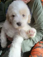 processed/7c890c85-adb8-4658-850a-d1f8bcf1724b/facility/097e54a2-4179-4fc5-8771-d2232766b701