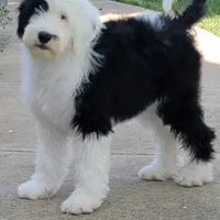 processed/7c890c85-adb8-4658-850a-d1f8bcf1724b/facility/3e3d8cc7-bc3c-424d-9e96-dc391651d135