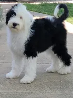 processed/7c890c85-adb8-4658-850a-d1f8bcf1724b/facility/3e3d8cc7-bc3c-424d-9e96-dc391651d135