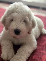 processed/7c890c85-adb8-4658-850a-d1f8bcf1724b/facility/4d6f5f1d-f068-4c1d-9ffd-2206cad70ede