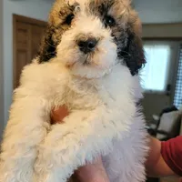 processed/7c890c85-adb8-4658-850a-d1f8bcf1724b/facility/5bd3677e-f5b1-446e-b1b6-e77300c1db35