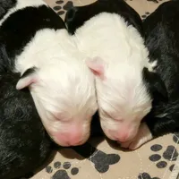 processed/7c890c85-adb8-4658-850a-d1f8bcf1724b/facility/6a5855bb-b2b2-40e7-b1e2-3ea69703bd04