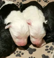 processed/7c890c85-adb8-4658-850a-d1f8bcf1724b/facility/6a5855bb-b2b2-40e7-b1e2-3ea69703bd04