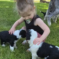 processed/7c890c85-adb8-4658-850a-d1f8bcf1724b/facility/6da5d5e7-ea8e-480e-9ac4-0bd678ed8a91