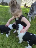 processed/7c890c85-adb8-4658-850a-d1f8bcf1724b/facility/6da5d5e7-ea8e-480e-9ac4-0bd678ed8a91