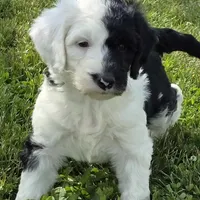 processed/7c890c85-adb8-4658-850a-d1f8bcf1724b/facility/7936d2b3-009a-4b17-b8e7-f5c5cd8533cc