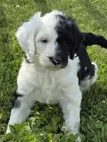 processed/7c890c85-adb8-4658-850a-d1f8bcf1724b/facility/7936d2b3-009a-4b17-b8e7-f5c5cd8533cc