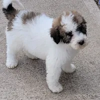 processed/7c890c85-adb8-4658-850a-d1f8bcf1724b/facility/b0775df2-2e2e-45b8-a341-e8705475bcde