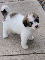 processed/7c890c85-adb8-4658-850a-d1f8bcf1724b/facility/b0775df2-2e2e-45b8-a341-e8705475bcde