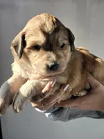 processed/7c890c85-adb8-4658-850a-d1f8bcf1724b/listing/c707ae24-3f9e-40cf-942f-970dc87c73d0/47f1a70a-2805-4808-802d-808cbad328c1