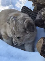 processed/7c890c85-adb8-4658-850a-d1f8bcf1724b/listing/c707ae24-3f9e-40cf-942f-970dc87c73d0/7f88f57a-848c-47cf-b2e2-df12cb2164de