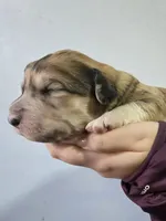 processed/7c890c85-adb8-4658-850a-d1f8bcf1724b/listing/c707ae24-3f9e-40cf-942f-970dc87c73d0/8bd41cf1-6d8b-4eac-8e4e-594a5ff01b27