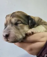 processed/7c890c85-adb8-4658-850a-d1f8bcf1724b/listing/c707ae24-3f9e-40cf-942f-970dc87c73d0/c7f3a583-2302-4354-a93b-e1ef7b74394b