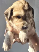 processed/7c890c85-adb8-4658-850a-d1f8bcf1724b/listing/c707ae24-3f9e-40cf-942f-970dc87c73d0/d6c25071-1526-4ce1-a36a-06736789e358