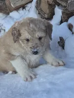 processed/7c890c85-adb8-4658-850a-d1f8bcf1724b/listing/c707ae24-3f9e-40cf-942f-970dc87c73d0/fcad12cc-0cb8-44f5-9663-f9b763bf27be