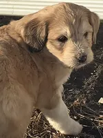 processed/7c890c85-adb8-4658-850a-d1f8bcf1724b/listing/f8ab103b-c312-4d8a-974c-5aeb6f75ded9/0eebacf0-c467-4022-a69a-db3c1739bdf3