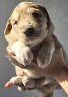 processed/7c890c85-adb8-4658-850a-d1f8bcf1724b/listing/f8ab103b-c312-4d8a-974c-5aeb6f75ded9/1e12254e-dcb3-49d9-a5ef-02a9652afc33