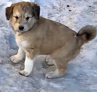 processed/7c890c85-adb8-4658-850a-d1f8bcf1724b/listing/f8ab103b-c312-4d8a-974c-5aeb6f75ded9/3241f29b-a1ab-4c98-a640-766a53bf5d9f