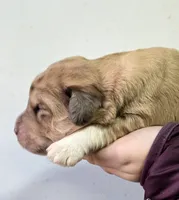 processed/7c890c85-adb8-4658-850a-d1f8bcf1724b/listing/f8ab103b-c312-4d8a-974c-5aeb6f75ded9/4a9f28db-43cb-4574-82cf-5e5486a2b09a