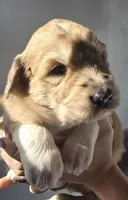 processed/7c890c85-adb8-4658-850a-d1f8bcf1724b/listing/f8ab103b-c312-4d8a-974c-5aeb6f75ded9/7389259f-9729-4851-9984-b8a2493ef313