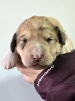 processed/7c890c85-adb8-4658-850a-d1f8bcf1724b/listing/f8ab103b-c312-4d8a-974c-5aeb6f75ded9/7af90cfb-847d-4594-a1df-dd7d69fffcfd