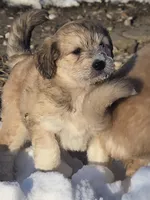 processed/7c890c85-adb8-4658-850a-d1f8bcf1724b/listing/f8ab103b-c312-4d8a-974c-5aeb6f75ded9/8e9b8a77-2cd1-4ab1-a427-eb8603c6a3e0